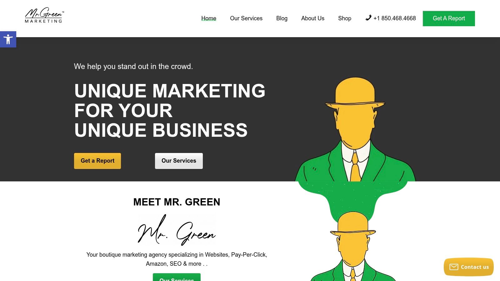 Screenshot from https://mrgreenmarketing.com